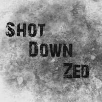 Shot Down Zed