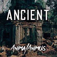 Anima / Animus