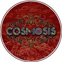 Cosmosis