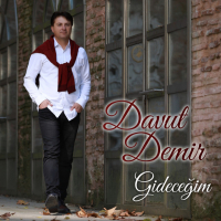 Davut Demir