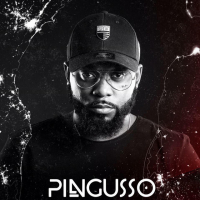 DJ Pingusso