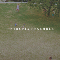 Entropia Ensemble