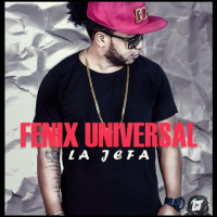 Fenix Universal