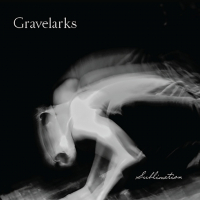 Gravelarks