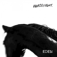 Horsefight