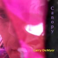 Larry DeMyer