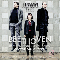 Ludwig Trio