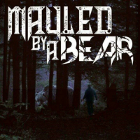 Mauled By A Bear