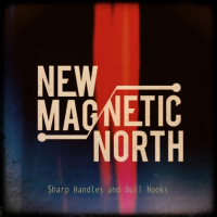 New Magnetic North