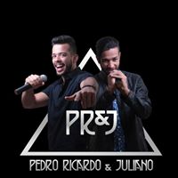 Pedro Ricardo e Juliano