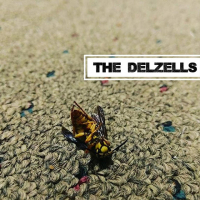 The Delzells